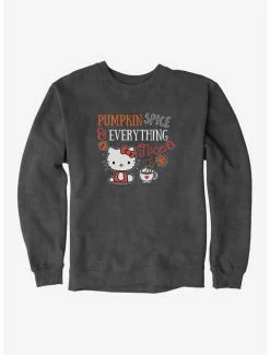 Flash Sale 🎉 Hello Kitty Pumpkin Spice & Everything Nice Sweatshirt 🤩 -Hello Kitty Sales Shop 19175793 hi