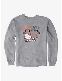Flash Sale 🎉 Hello Kitty Pumpkin Spice & Everything Nice Sweatshirt 🤩 -Hello Kitty Sales Shop 19175800 hi
