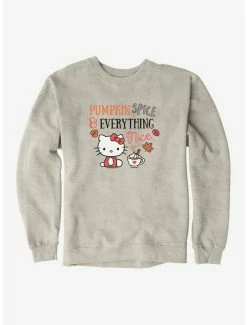 Flash Sale 🎉 Hello Kitty Pumpkin Spice & Everything Nice Sweatshirt 🤩 -Hello Kitty Sales Shop 19175814 hi